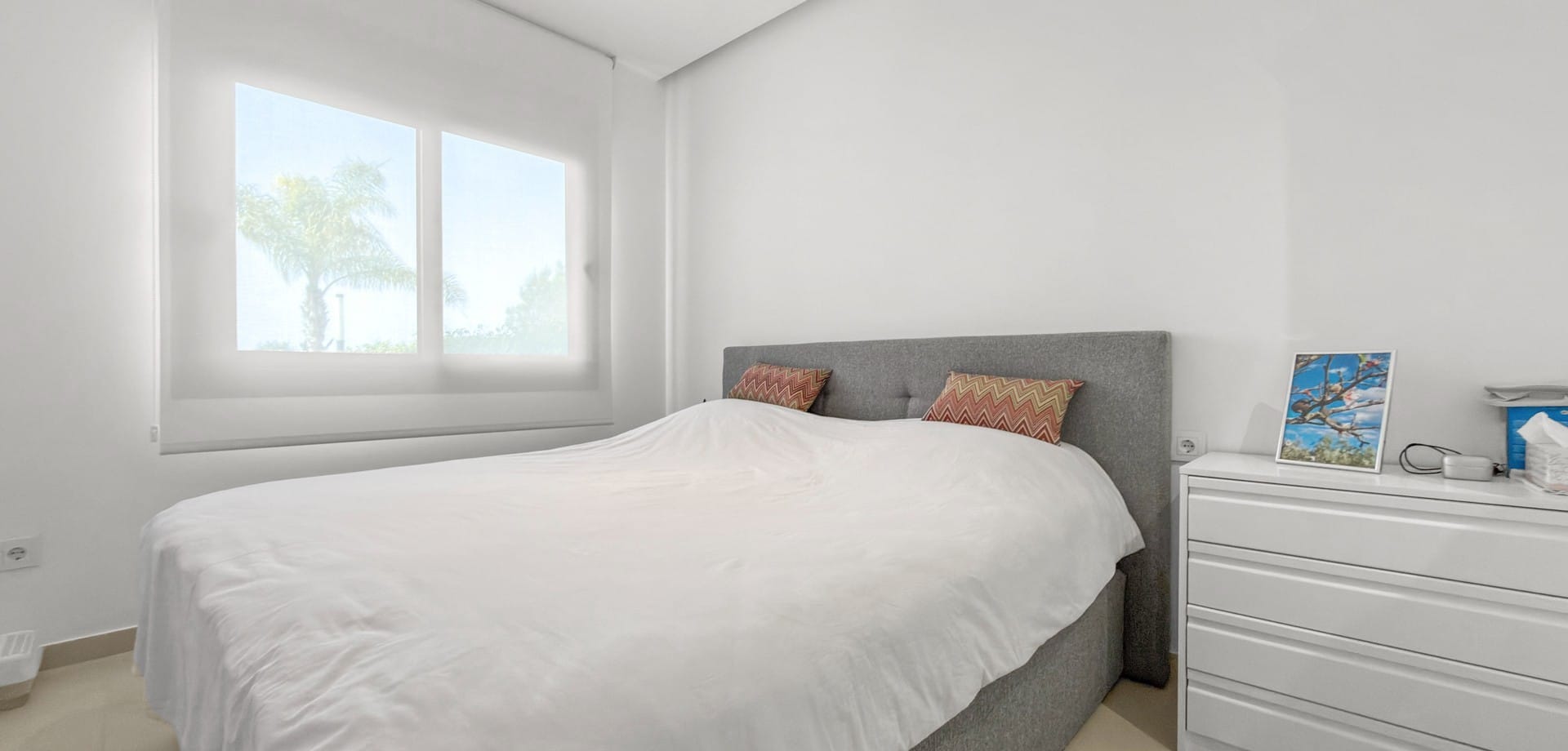 2 Bedroom Property in Pilar de la Horadada
