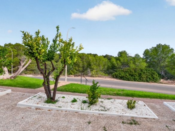 2 Bedroom Property in Orihuela Costa