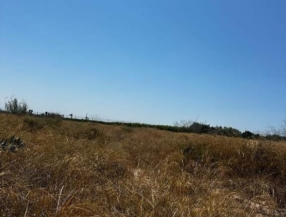 Building Plot in Elche