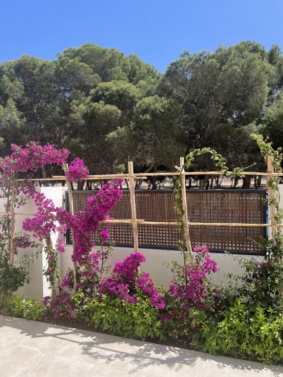 Apartment in Santiago de la Ribera