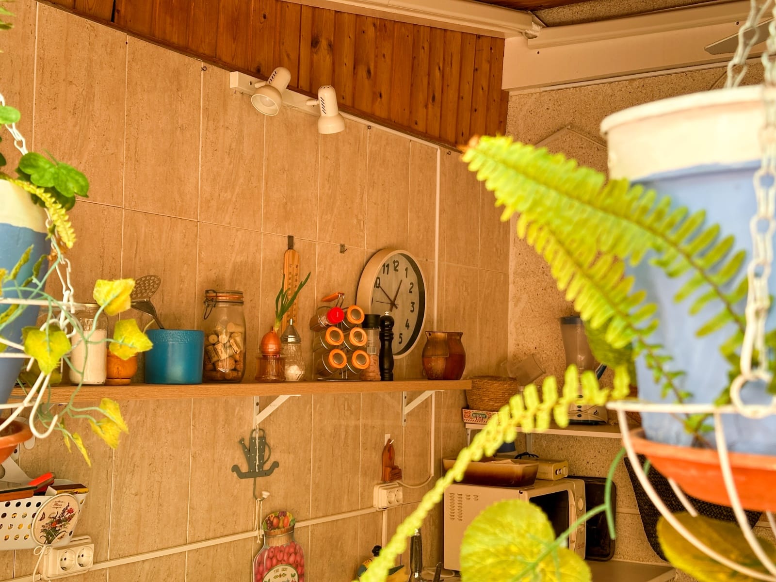 2 Bedroom Property in Torrevieja