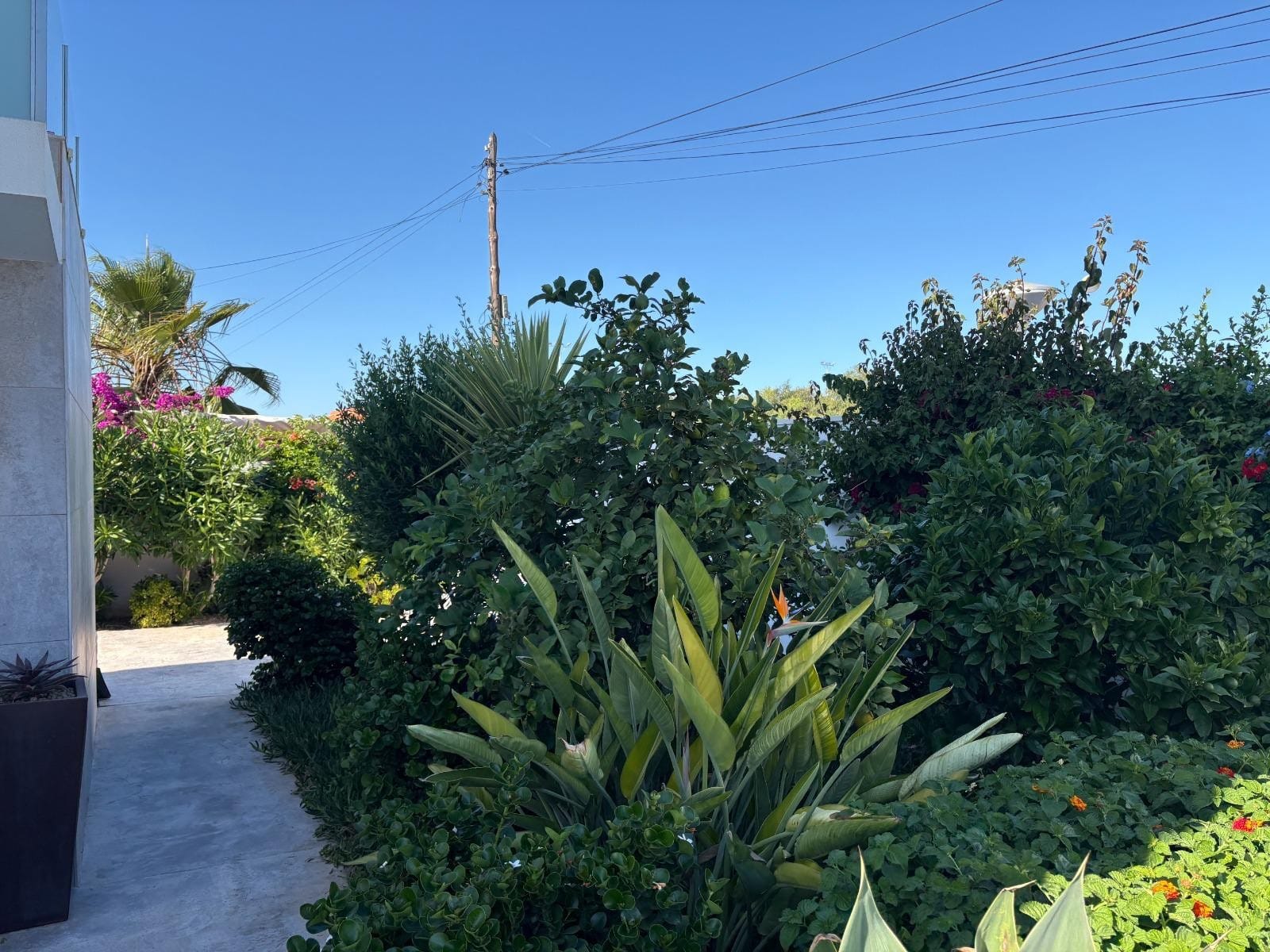 2 Bedroom Property in Torrevieja