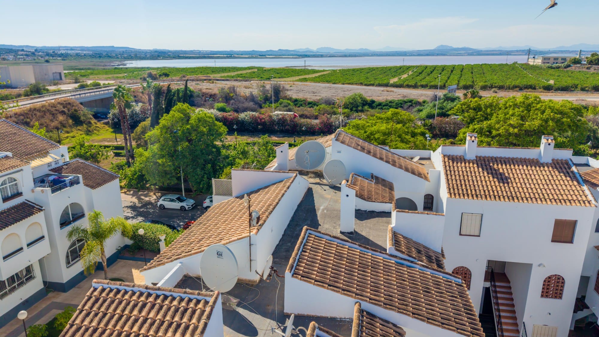 1 Bedroom Property in Torrevieja
