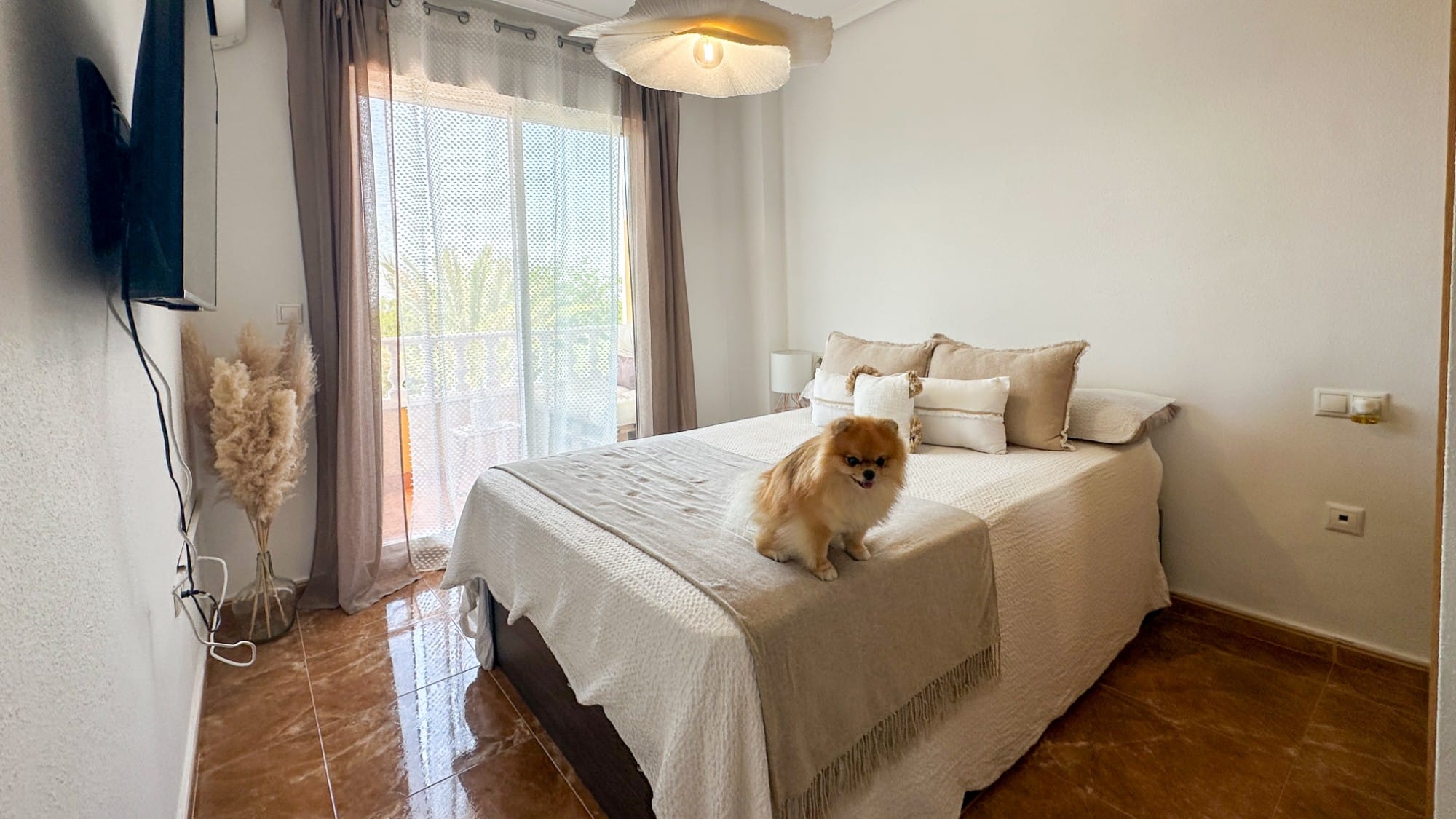 2 Bedroom Property in Guardamar del Segura