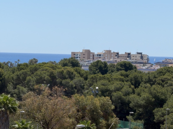 4 Bedroom Property in Mil Palmeras