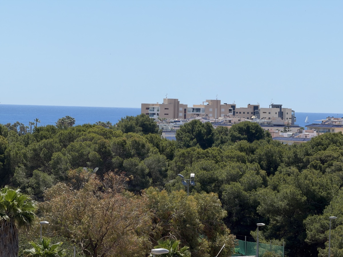 4 Bedroom Property in Mil Palmeras