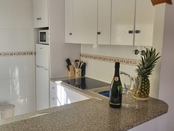 2 Bedroom Property in Playa Flamenca