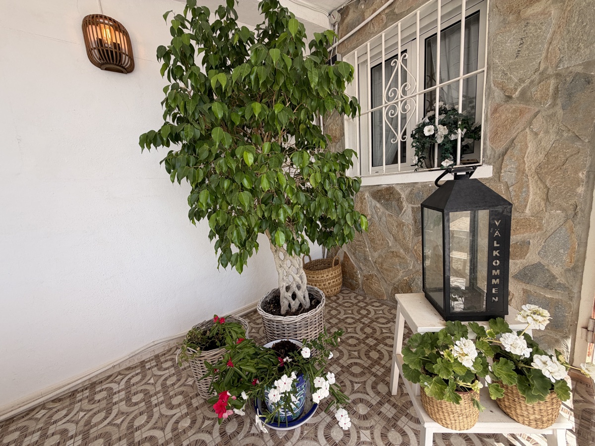 3 Bedroom Property in San Luis