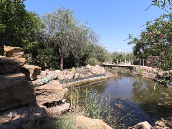 7 Bedroom Property in Catral