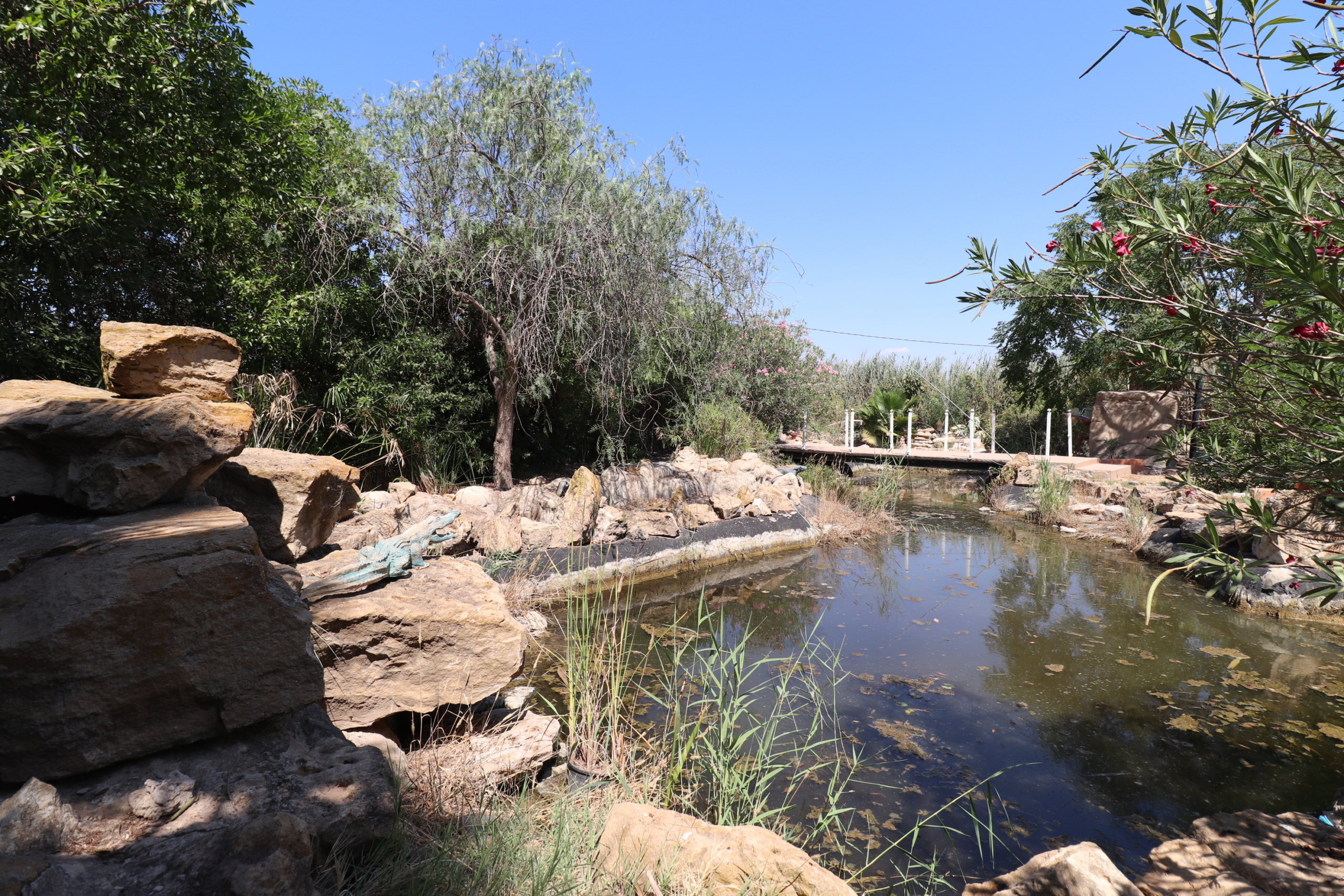 7 Bedroom Property in Catral