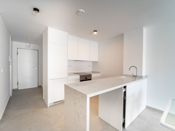 2 Bedroom Property in Playa Flamenca