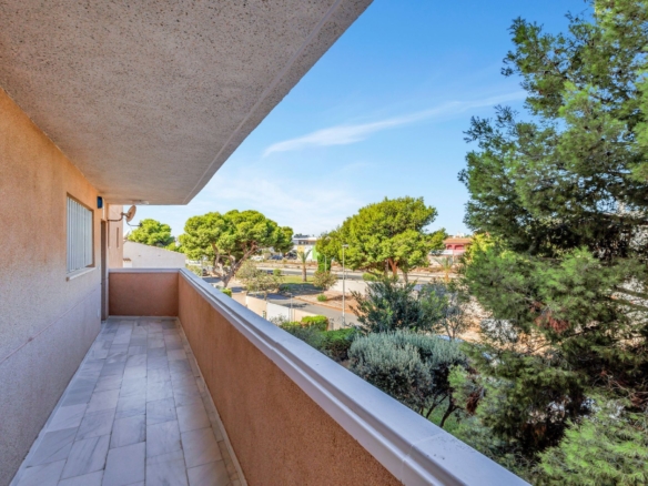 3 Bedroom Property in Cabo Roig