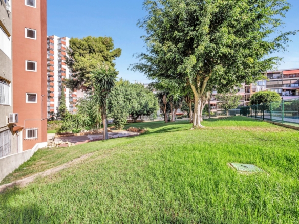1 Bedroom Property in Benidorm