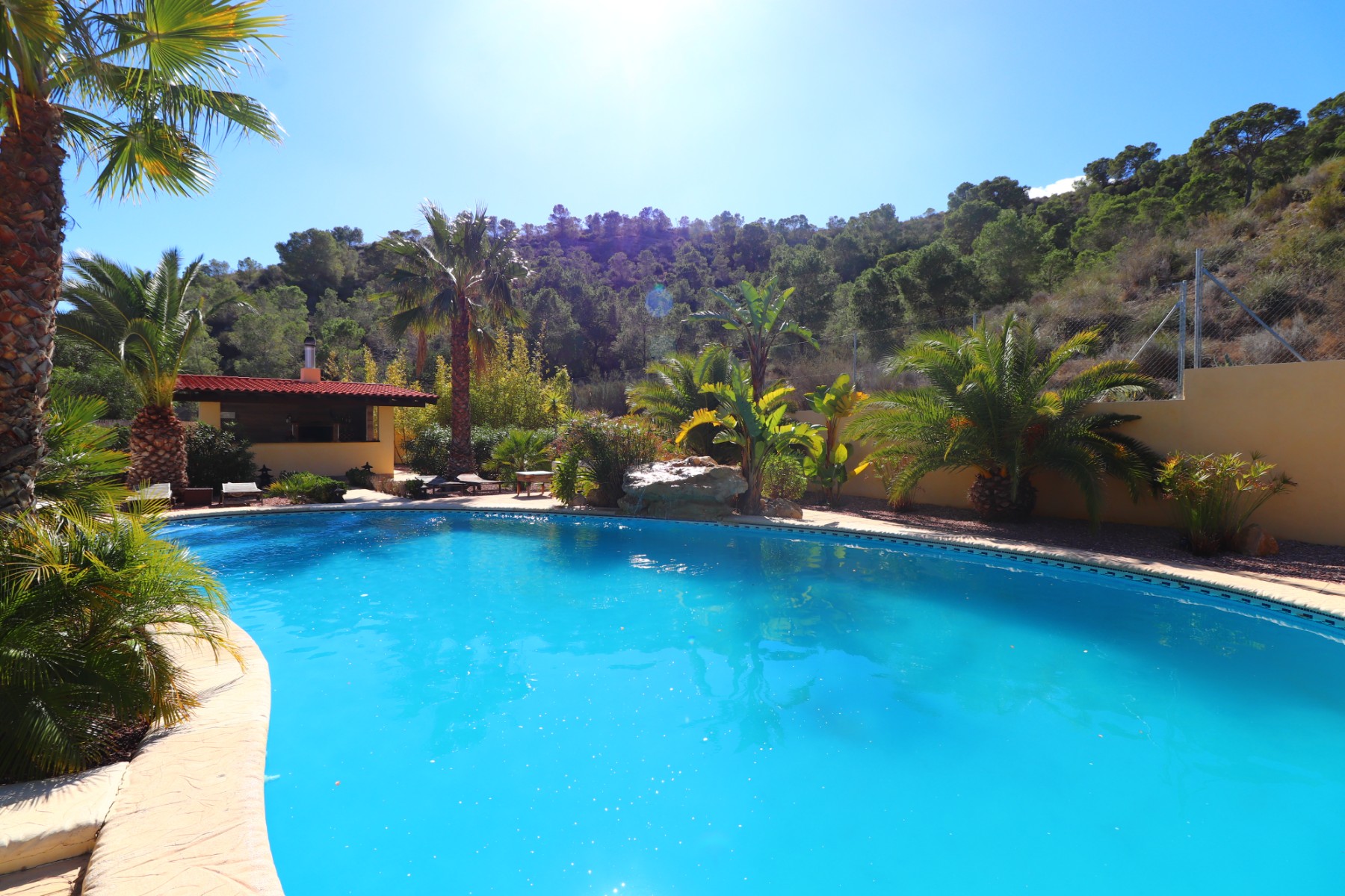 5 Bedroom Property in Aspe