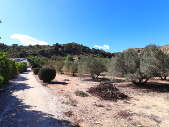 5 Bedroom Property in Aspe