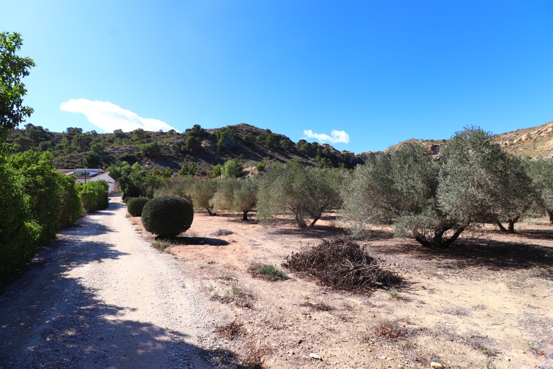 5 Bedroom Property in Aspe