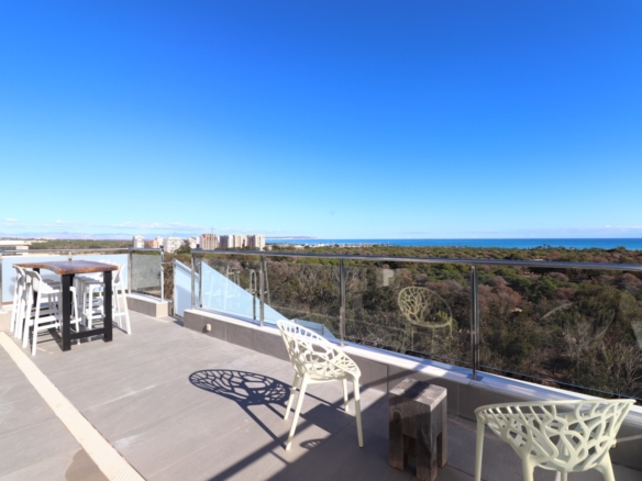 3 Bedroom Property in Guardamar del Segura