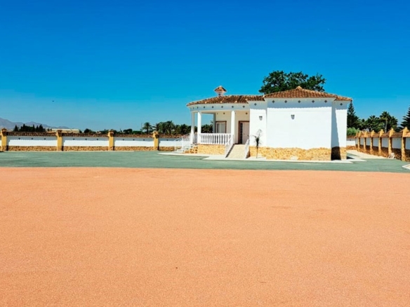 3 Bedroom Property in Catral