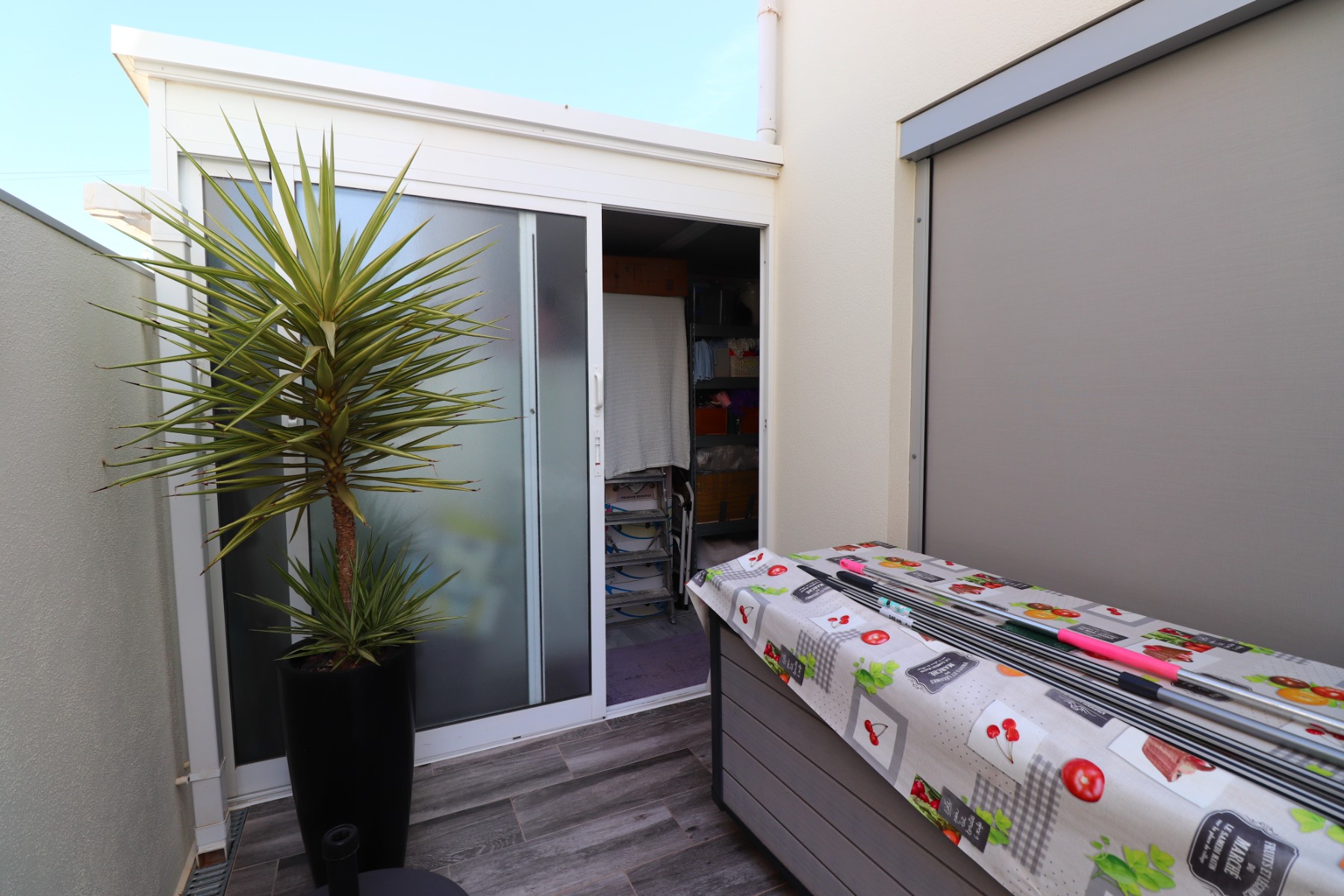 3 Bedroom Property in Daya Vieja