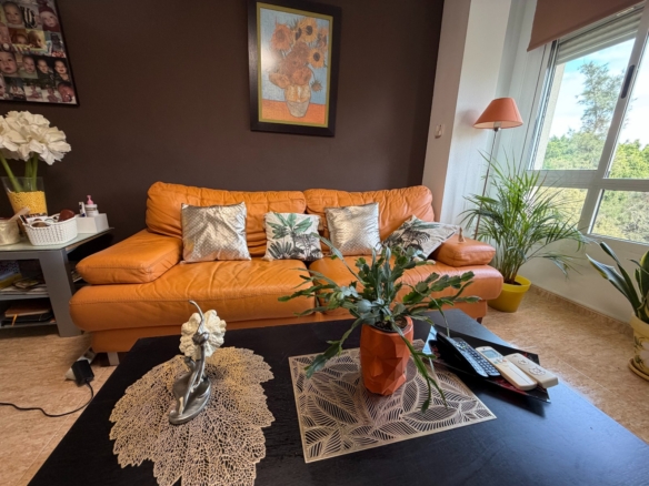 2 Bedroom Property in Pilar de La Horadada