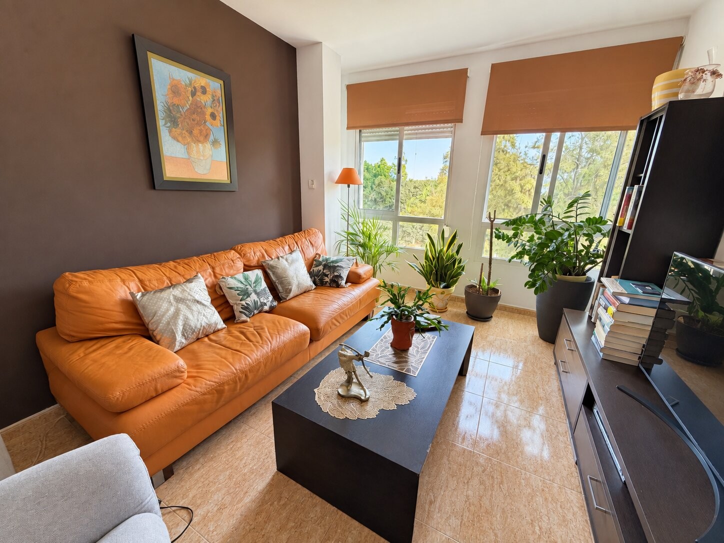 2 Bedroom Property in Pilar de La Horadada