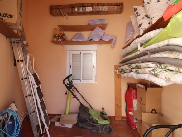3 Bedroom Property in Daya Vieja